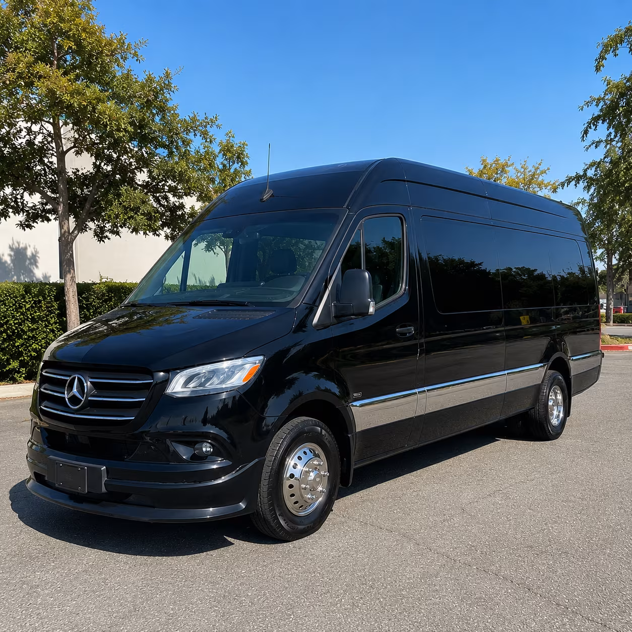 find the perfect transportation for your next birthday 1